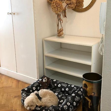 Apartamento En El Centro ア・コルーニャ エクステリア 写真